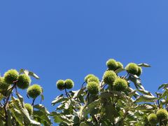 -蟠龙山长城景区