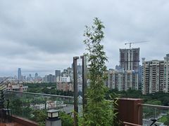 -小茶闲舍·观景商务茶馆(广州塔店)