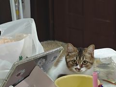 -酱湘宴餐厅(狮子山公园店)