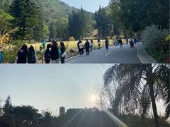 -深圳市中科院仙湖植物园