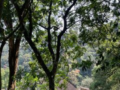 -飞霞风景名胜区