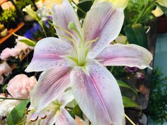 -何兮花店·气球派对鲜花店(马桥银春路万科城店)