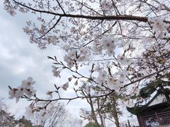-石湖景区
