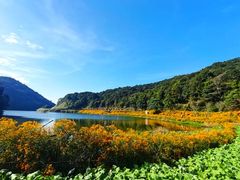 -广州市石门国家森林公园