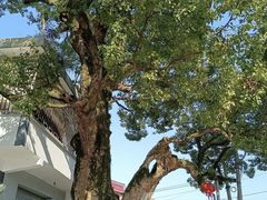 -宁波市保国寺古建筑博物馆