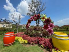 -第34届青岛国际啤酒节