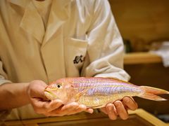 -镹·鱼料理  国产鱼使用店