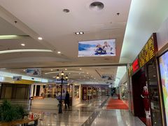-西树泡芙(北京金源2店)