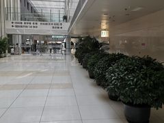 -北京协和医院(东单院区)