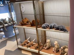 点击看大图 -超级奈尔宝SUPER NEOBIO(杭州星光店)