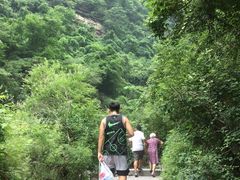 -云台山风景名胜区