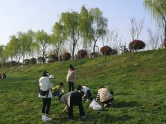 -洨河生态公园
