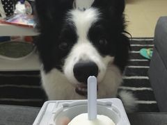 -赛百味SUBWAY(东风广场店)