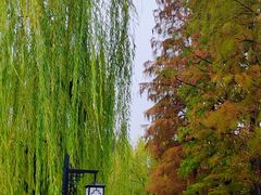 -清晏园