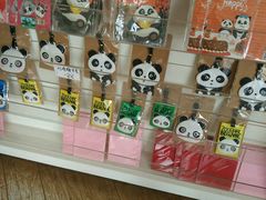 -熊猫邮局(少城店)