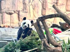 -泉州海丝野生动物世界