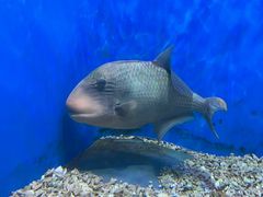 -泉城欧乐堡海洋极地世界