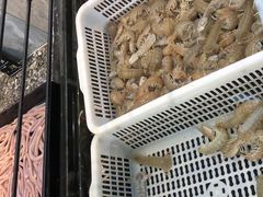 -海鲜e族(马王堆店)