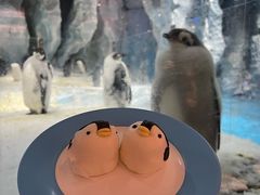 -帝企鹅自助餐厅•儿童岛•真企鹅(长隆企鹅酒店)