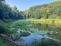 -棒棰岛宾馆景区