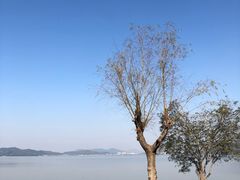 -东钱湖小普陀景区