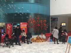 -深圳东部华侨城瀑布酒店