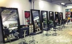 -T8 SALON