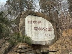 -白水寺森林公园