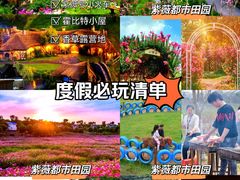 -武汉紫薇都市田园