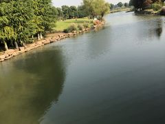 -九里河湿地公园