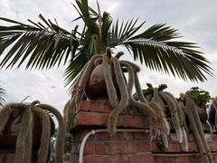 -一寨两国风景区