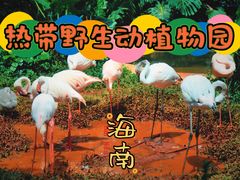 -海南热带野生动植物园