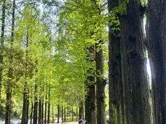 -杭州西湖柳莺里酒店·闻莺厅