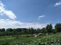 -羊亭河湿地公园