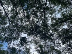 -草根堂农场