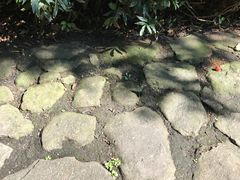 -法云安缦酒店