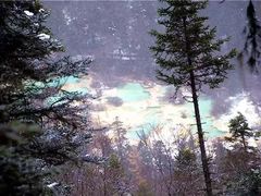 -黄龙山原始森林景区