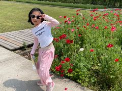 -前小桔亲子创意农场·草莓采摘·露营烧烤