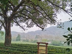 -中国茶叶博物馆(双峰馆区)