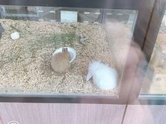 -瑞幸咖啡(协信星光广场店)