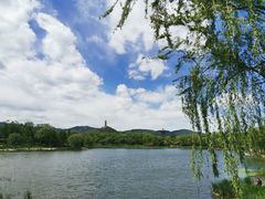 -北坞公园
