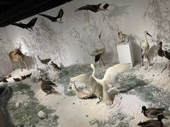 -南宫五洲植物乐园