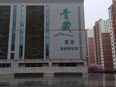 -青藏高原自然博物馆