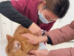 -美联众合动物医院·24h京西诊疗中心