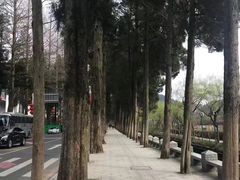 -井冈山风景名胜区