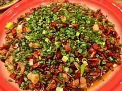 -聂发财重庆江湖菜(解放碑店)