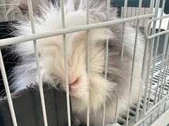 -小意思咖啡店(草桥店)