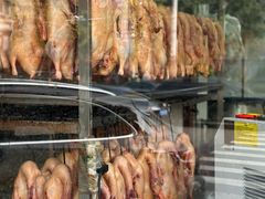 -杨震卤菜旗舰店