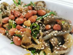 -陈添記·祖傳爽鱼皮·西关老字号(广州首店)
