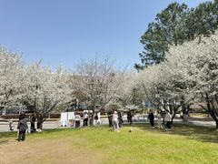 -同济大学(嘉定校区)